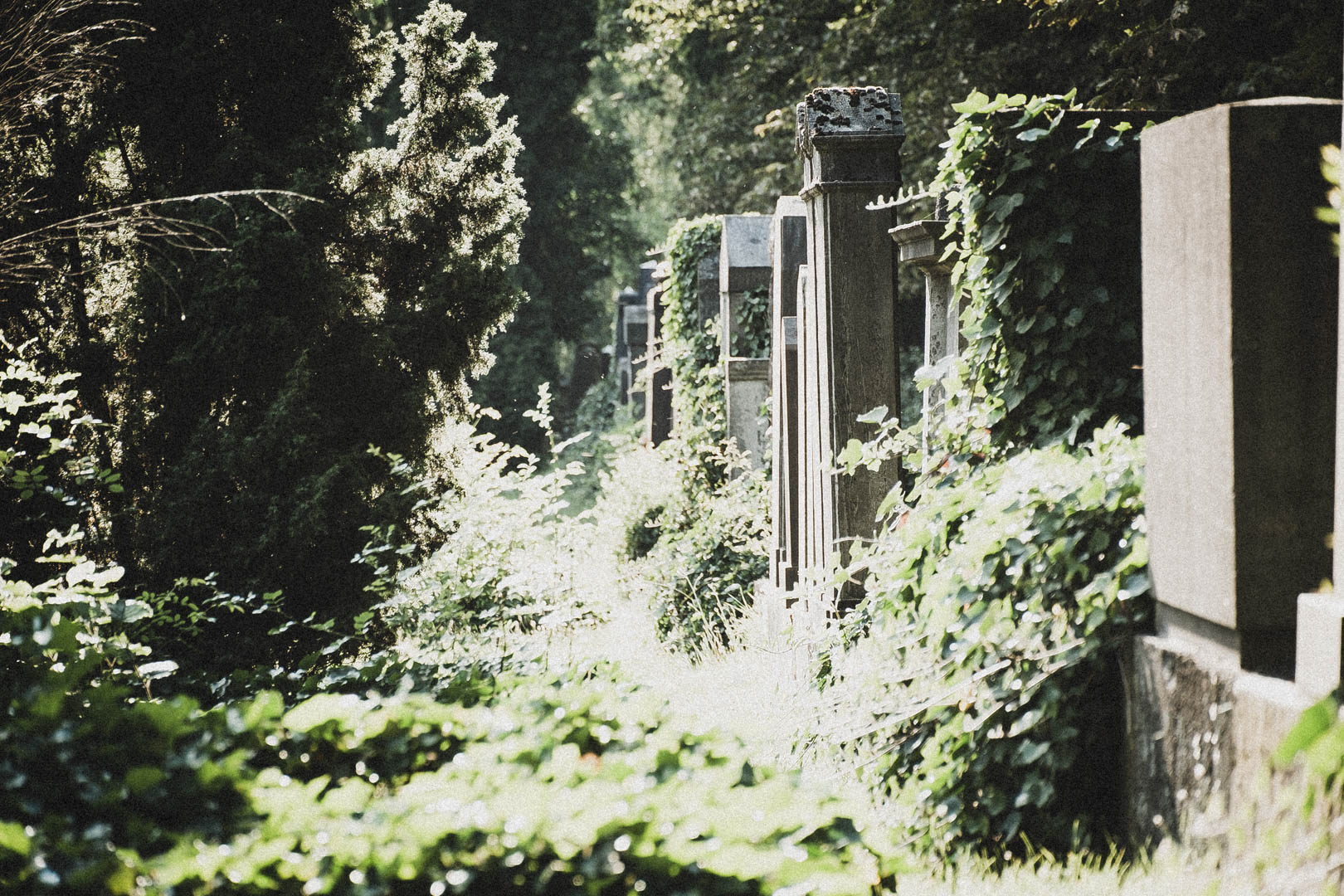 Jüdischer Friedhof Kassel-Bettenhausen